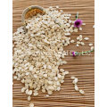 High Quality Watermelon Seed Kernels/Melon Seed Kernels